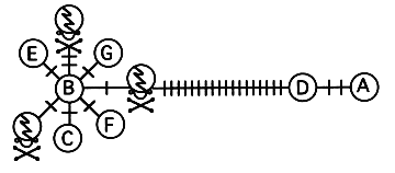 Cc Haplotype