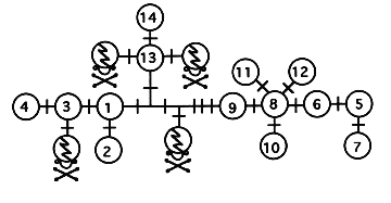 Cm Haplotype