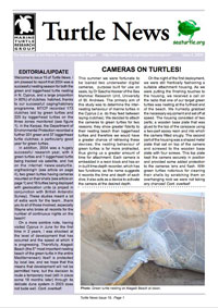 Turtle News 15
