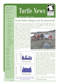 Turtle News 17
