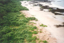 aerial