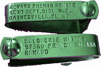 Reward Tag